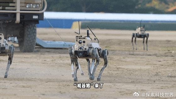 中国机器狼群巷战画面首次公开真的很精彩 未来可期看完真的太震撼了，全程看得热血沸