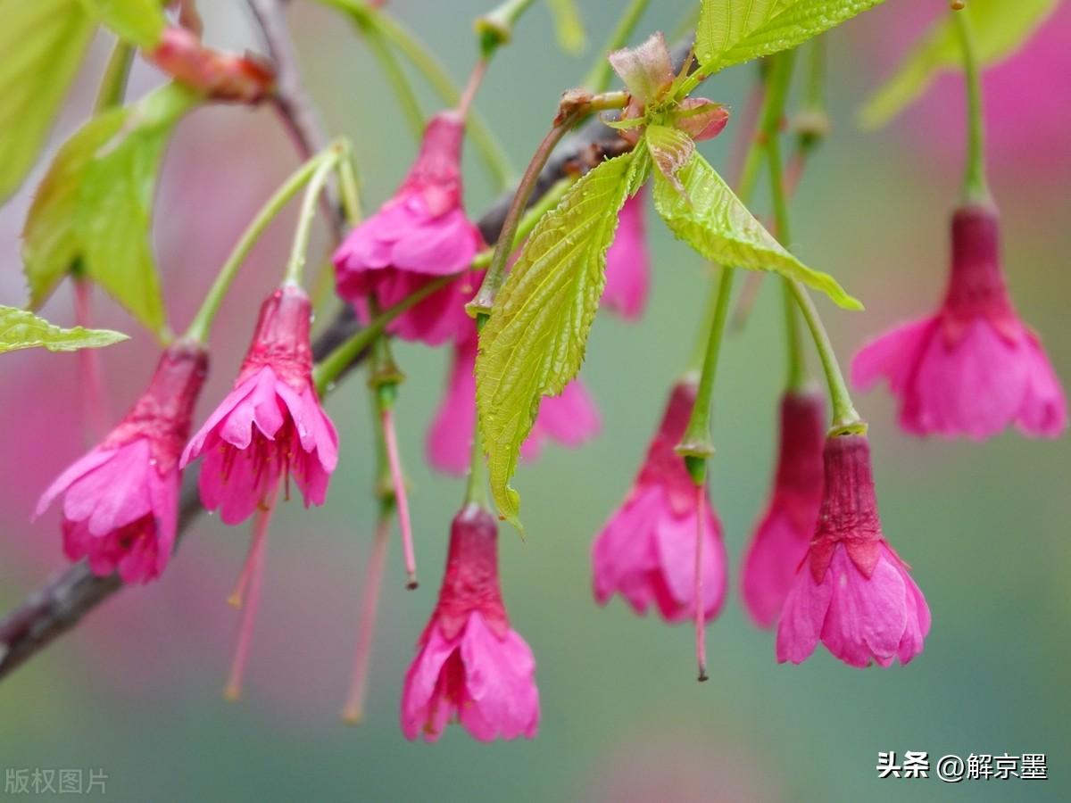 我们觉得不快乐，是因为我们追求的不是“幸福”，而是“比别人幸福”。每个人都会累，
