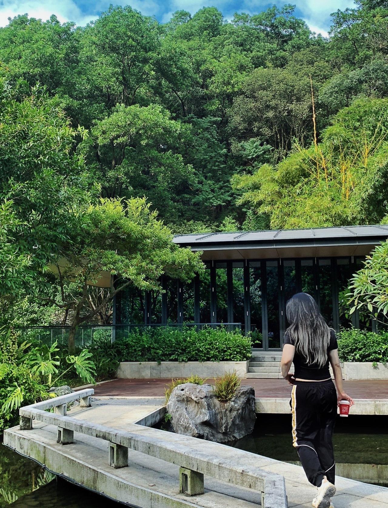 有趣的植物：爱睡觉的睡莲丨云溪植物园线路
📍杭州 云溪植物园
🌳云溪植物园里