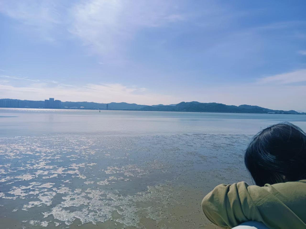 继续跟着妻女的脚步，眼睛去旅游行。看了菜牌，感觉样样都想吃，皮皮虾、砂锅粥、老牌