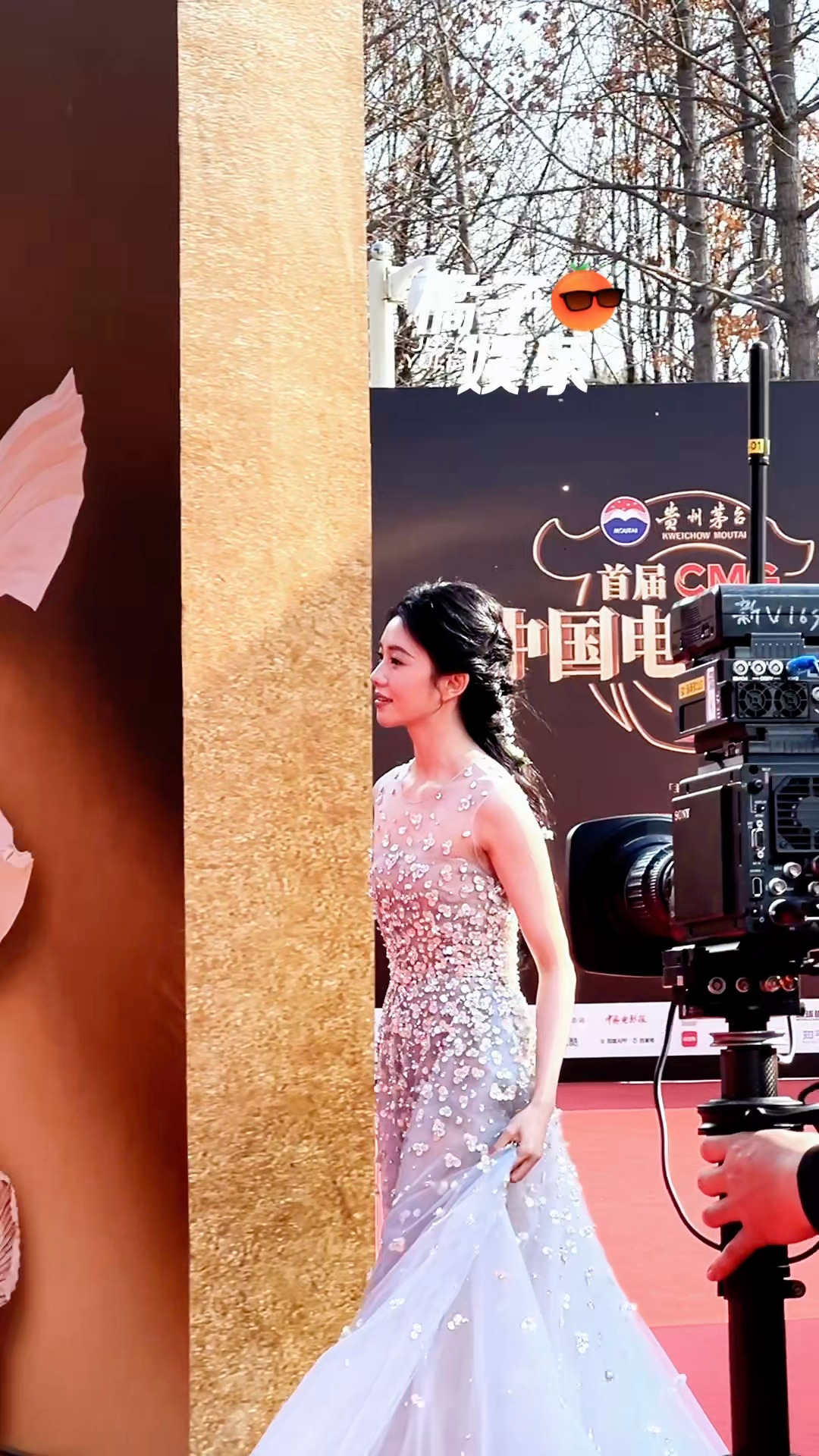 像蝴蝶仙子一样朝我走来的浩存CMG中国电影盛典红毯