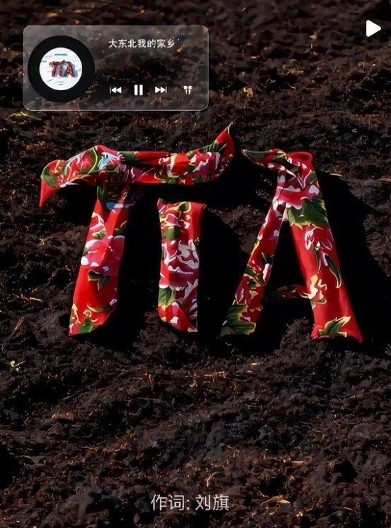 普通人走红后更应该脚踏实地大东北我的家乡原唱16岁还在开挖掘机大东北是我的家乡好