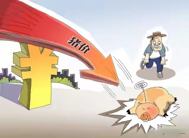 7月28日全国猪价信息：均价5.25元/斤，北方局部走强，多地持平！7月28日全
