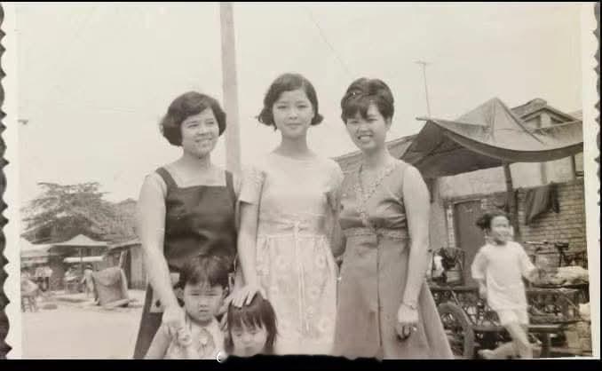 《邓丽君来我家》邓丽君小时侯跟我们是住同一个眷村，她爸妈跟我爸妈很熟，照片是她1