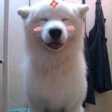 龙福最爱科技