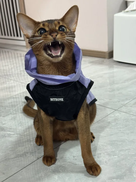 帮我看看我家孩子能当童模吗很玻璃心