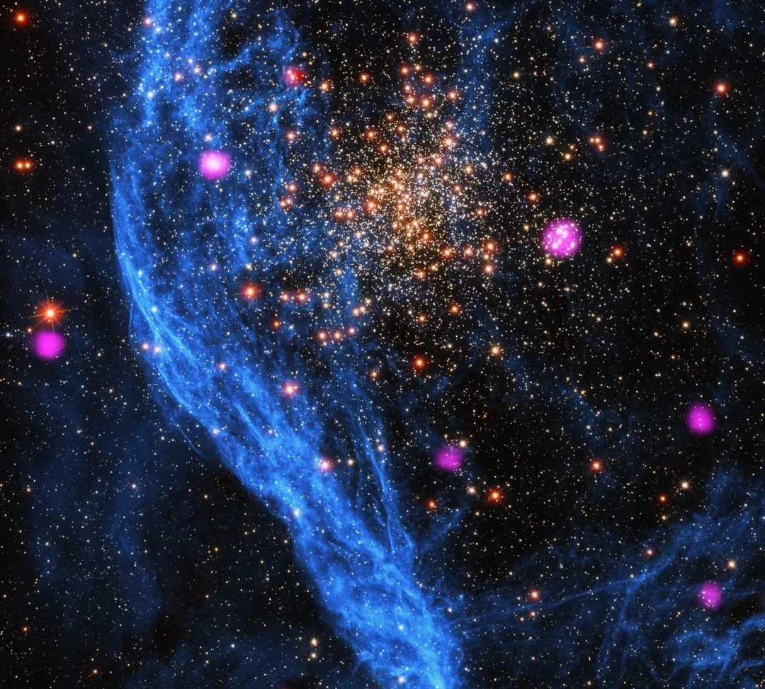 💌一亿年历史的的宇宙浪漫✨恒星团NGC1850✨