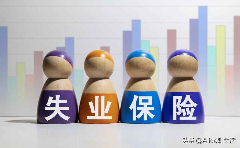 35岁以上的失业友友看过来！
别再乱交社保
否则每月1000+白扔一年！

人到