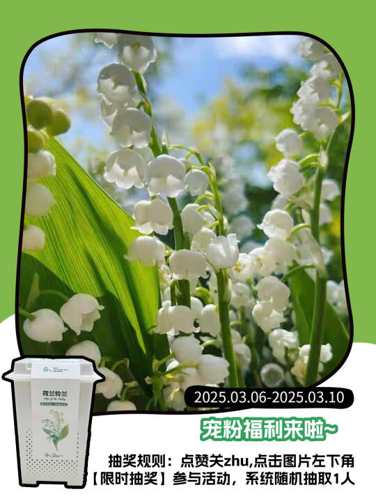 抽奖日🎁｜花信种植套装又来送福利啦！