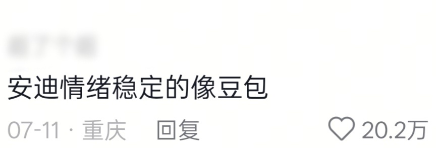 安迪情绪稳定的像豆包～刘涛的安迪十年后还能有多条20w+的评论赞