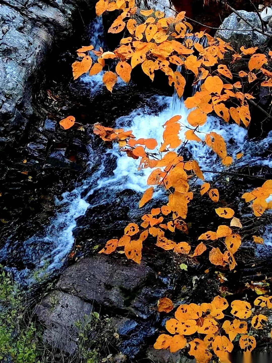 年轻时那些乱七八糟的情愫，你以为忘了，其实没有。
它们就那么被你胡乱塞在心里的一
