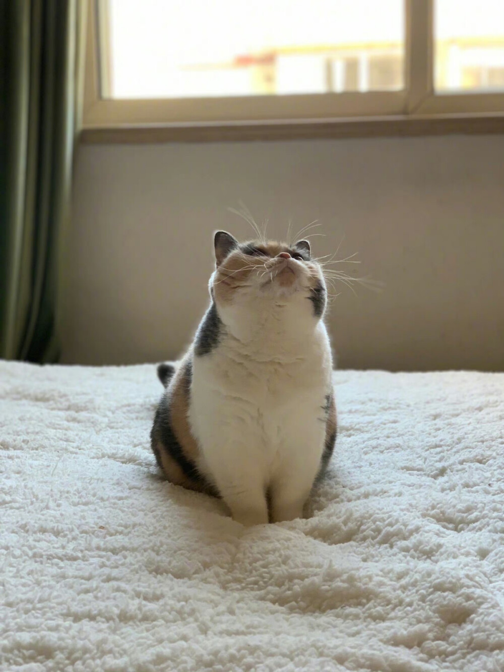 这两天天太热了朋友们，明日大暑，注意防晒降温。明天更新照旧正常嗷，这两天这周末忙