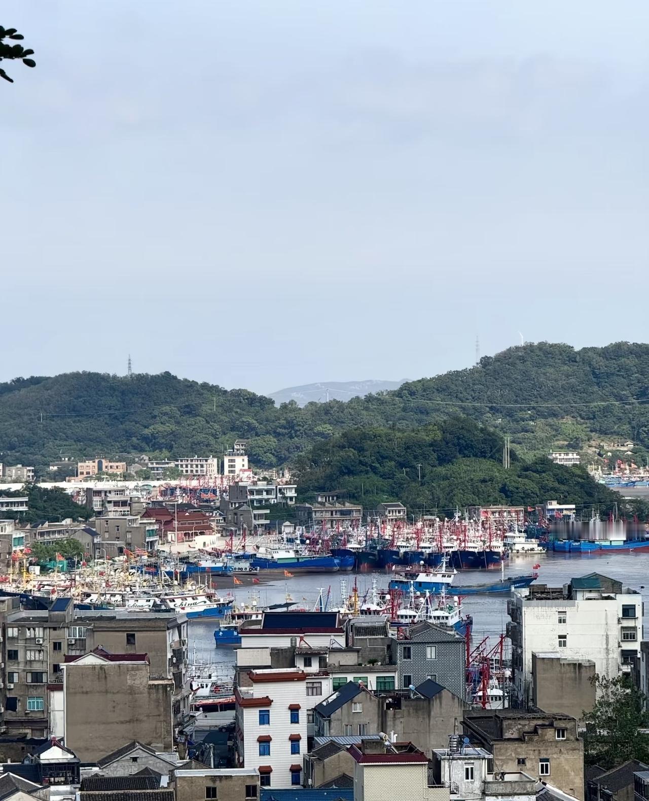 刚才翻相册，越翻越烦躁。

荷花、樱花、银杏、海景、各种景点……全是路过时“咔嚓