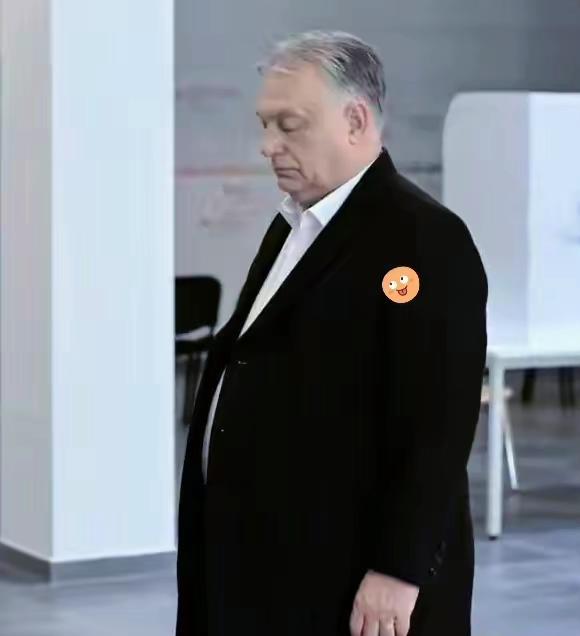 大国救不了欧尔班，美俄皆尴尬。

欧尔班败了，被匈牙利人民抛弃，证明了他的亲俄、