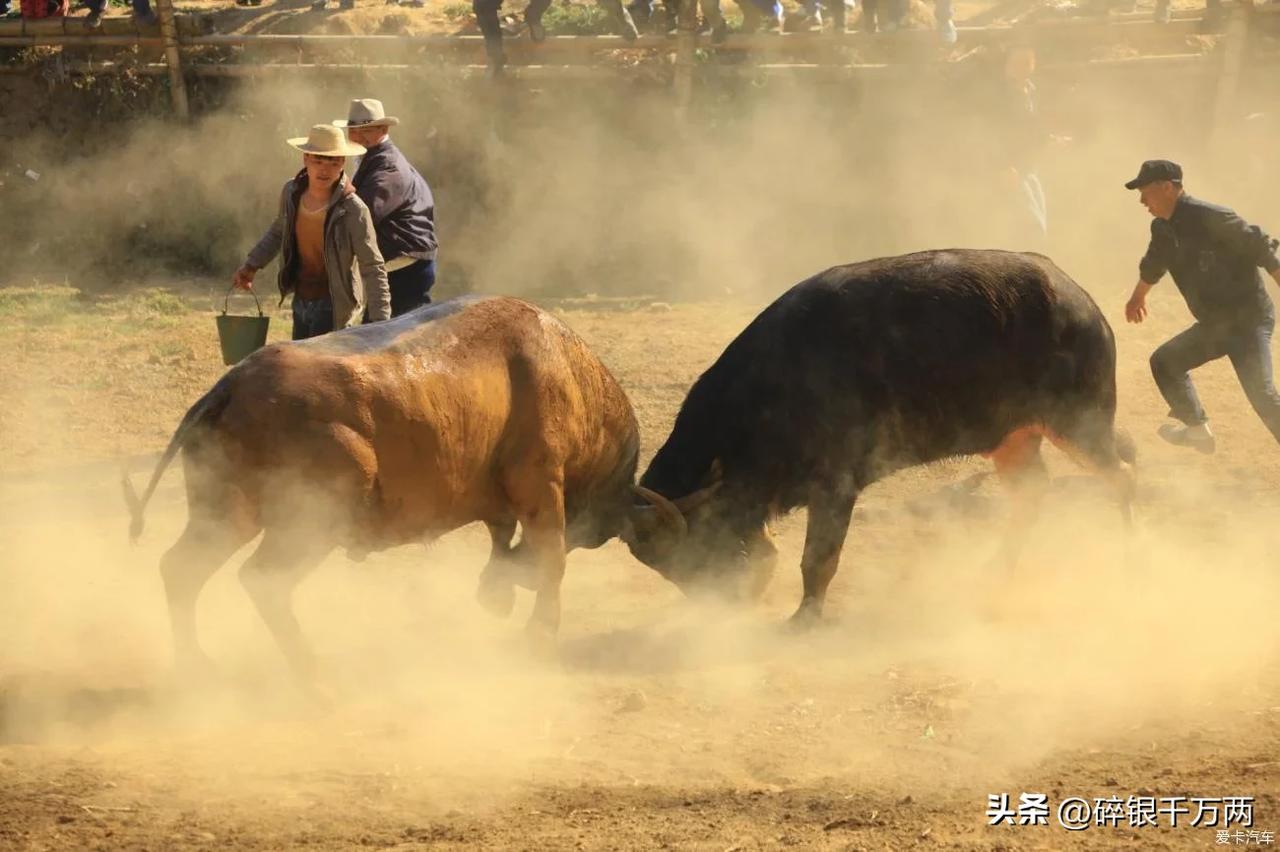 同样一亿两千万人，广东GDP差不多干到日本一多半了，看新闻里说今年定案是14.5
