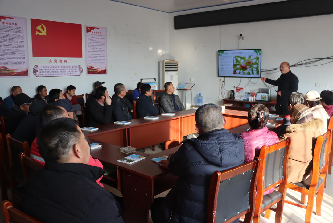 沾化区黄升镇开展冬枣技术培训 为枣农“充电”助产业升级