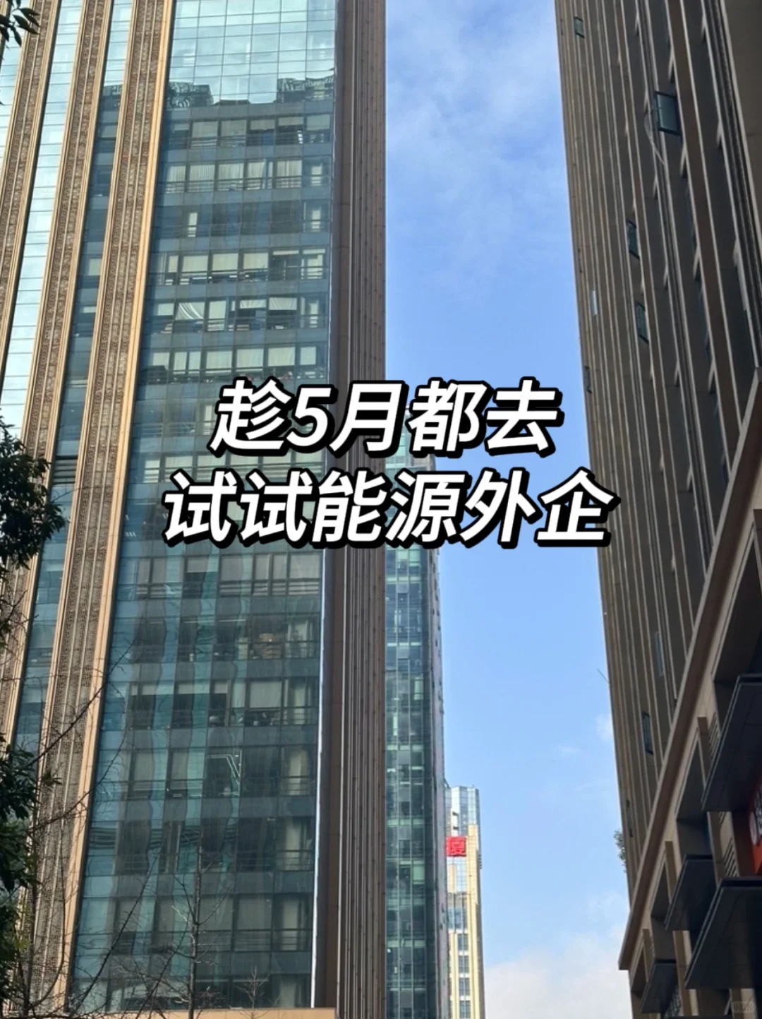 建议大家趁5月 都去试试能源外企