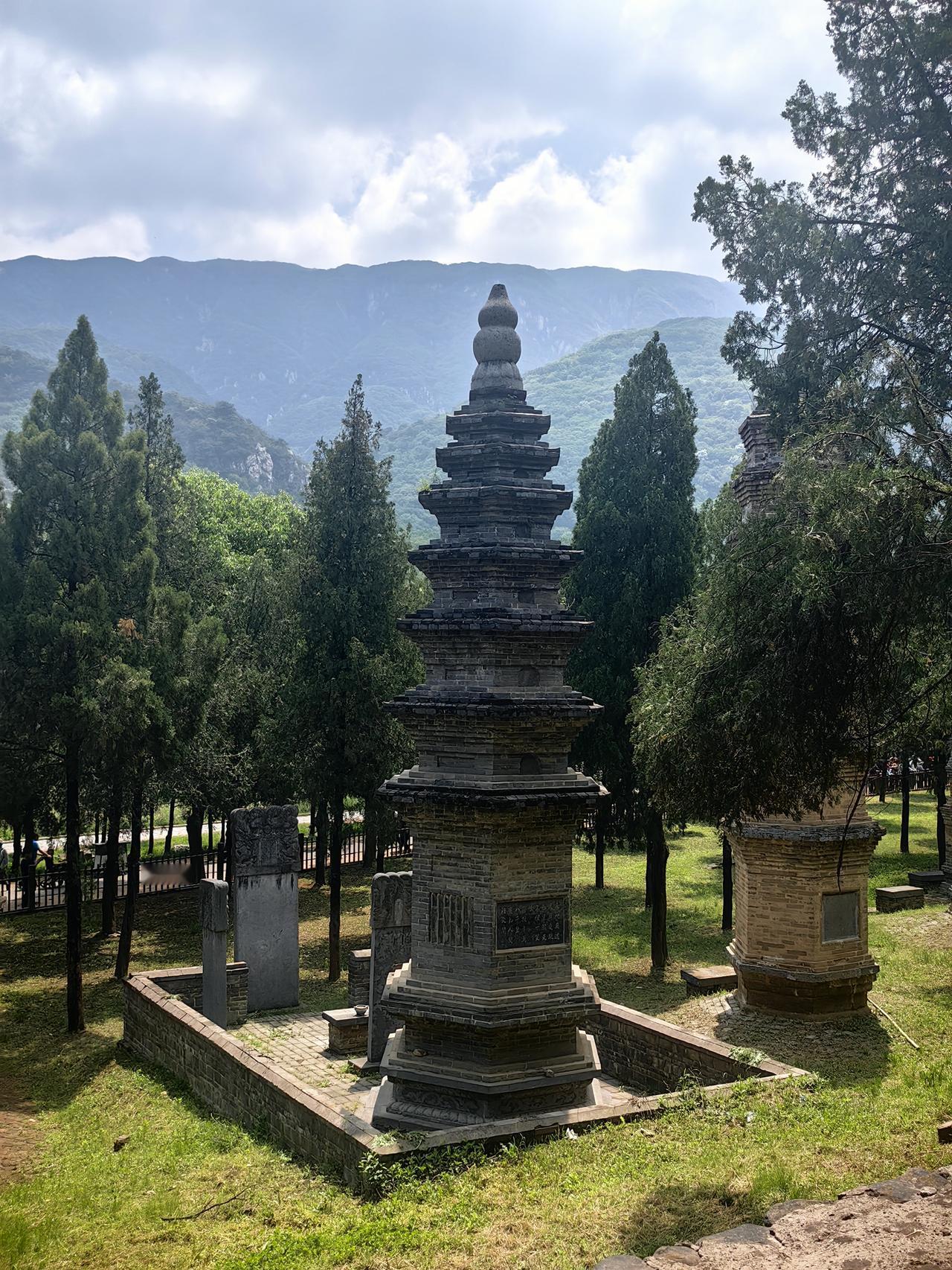 240多座塔，从唐朝排到清朝，密密麻麻站了一千多年。砖的、石的、方的、圆的、尖的