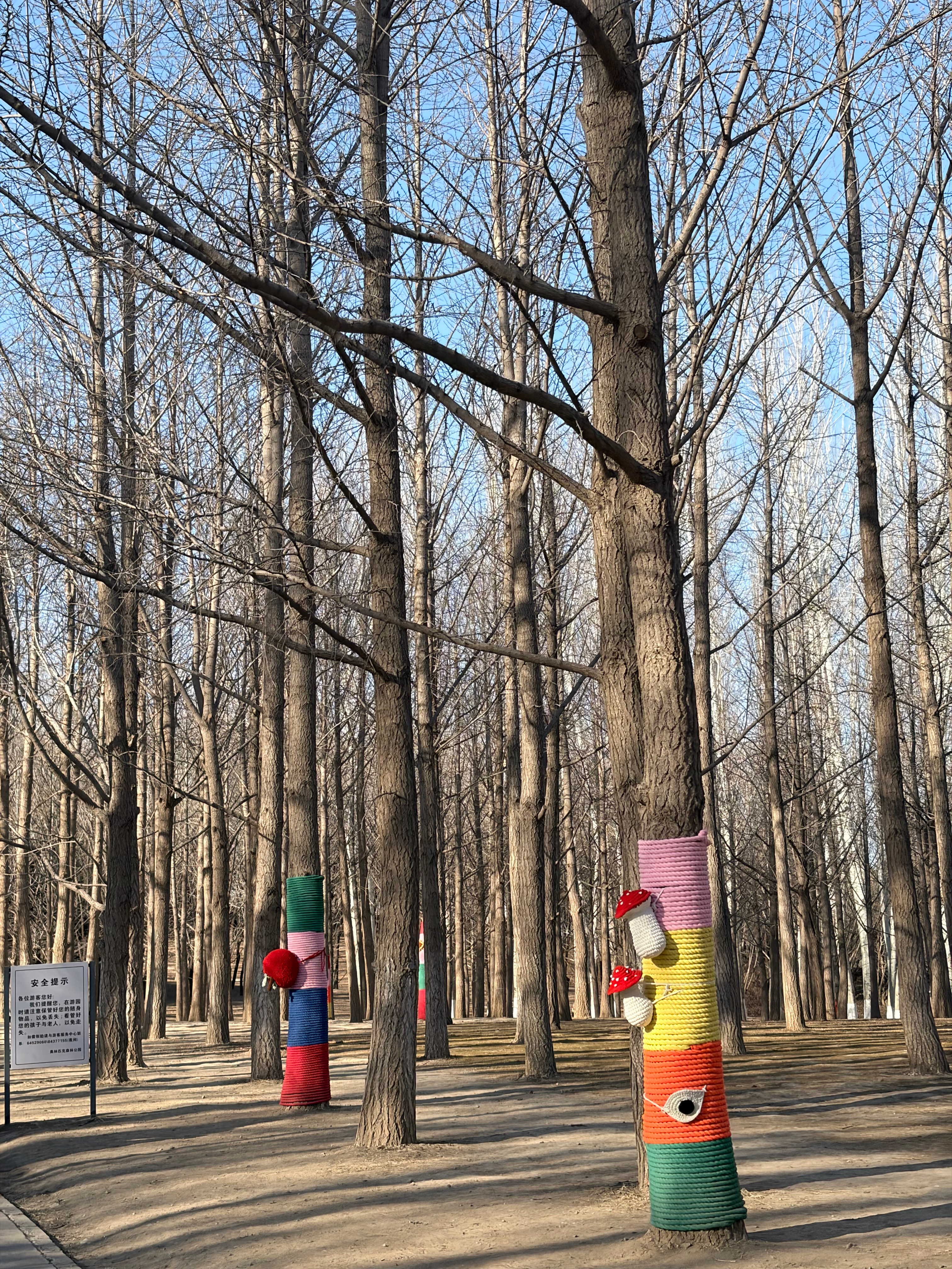 听说有人想我了那粗线一下马卡珑