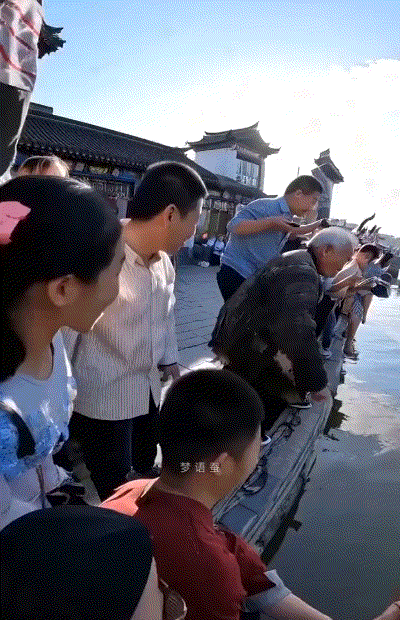 大爷是越来越魔幻了
