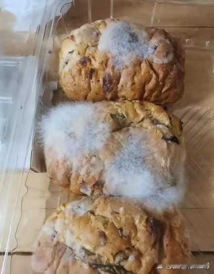 第一天买回家的面包没吃完，放在客厅里，第二天就全部长毛了，不是一点而是白花花的长