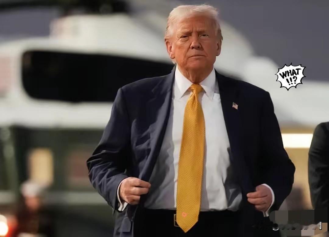 美国传来消息！
2025年11月27日，美国贸易代表办公室发布官方公告，将针对中