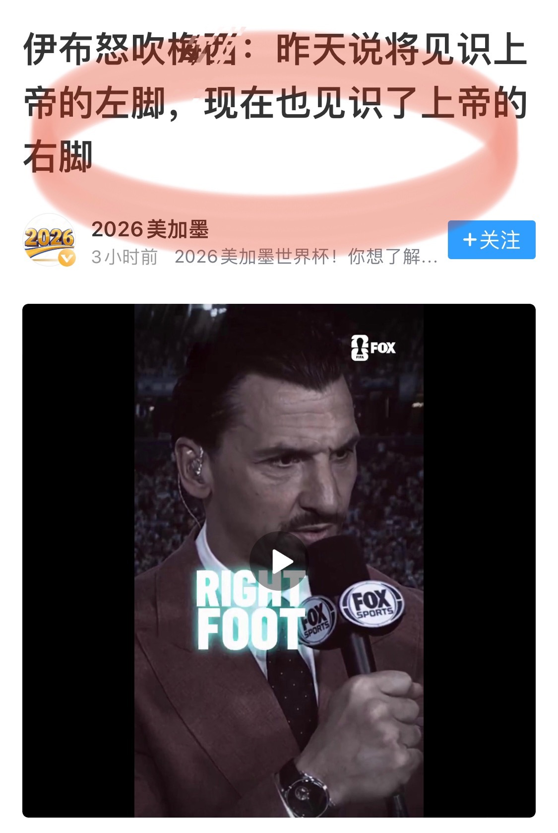 伊布这是怎么了｜大V观赛团 吹到很像串的程度埃及裁判称阿根廷第2球应判无效