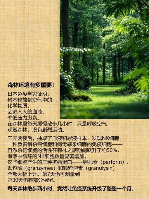 森林环境有多重要！ 