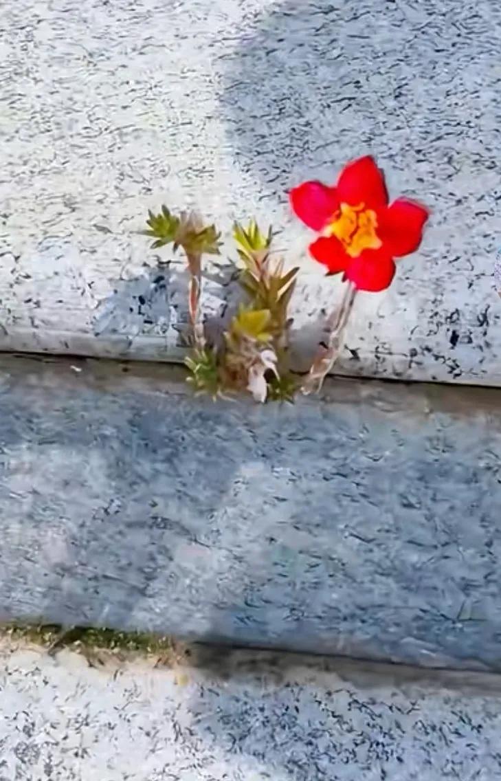 发现