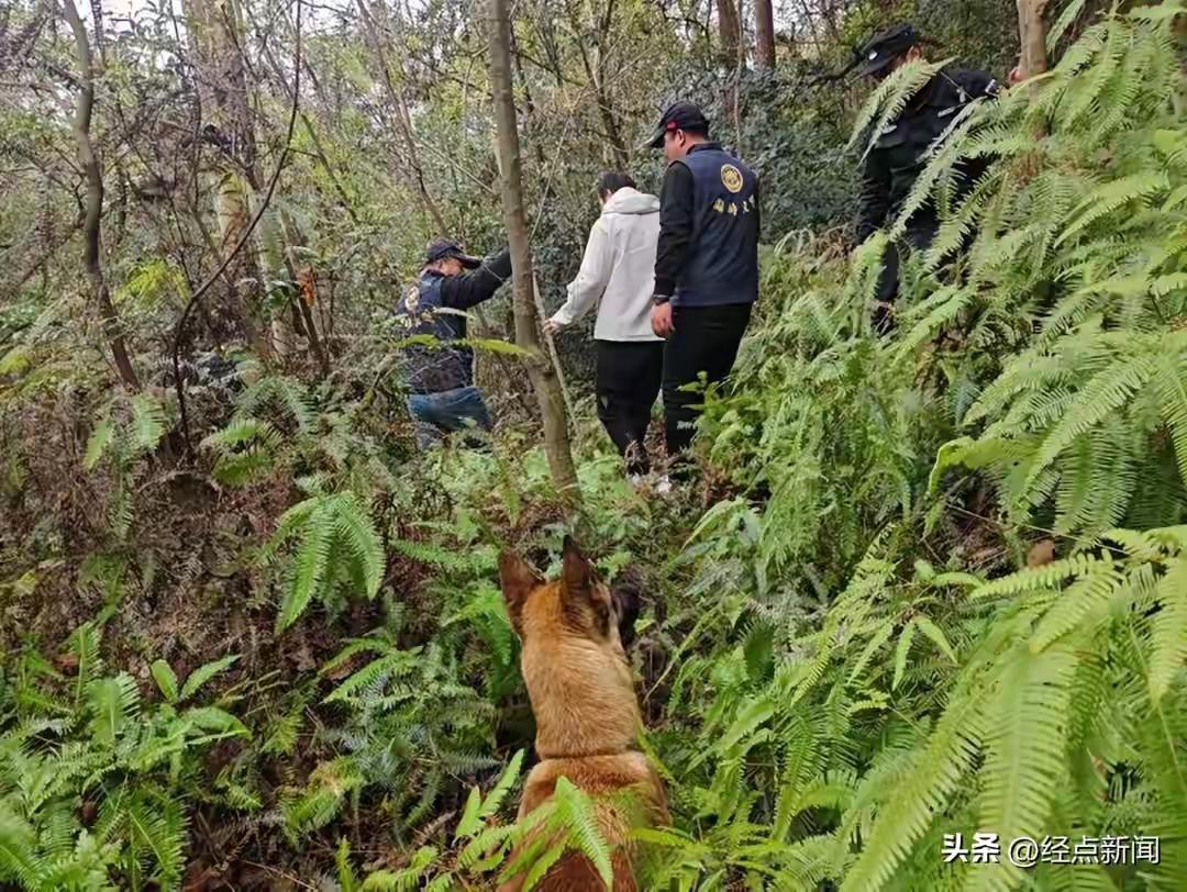 浙江温岭一40多岁男子，大龄单身，生活不如意，压力大，给妈妈发了一条诀别信息就离