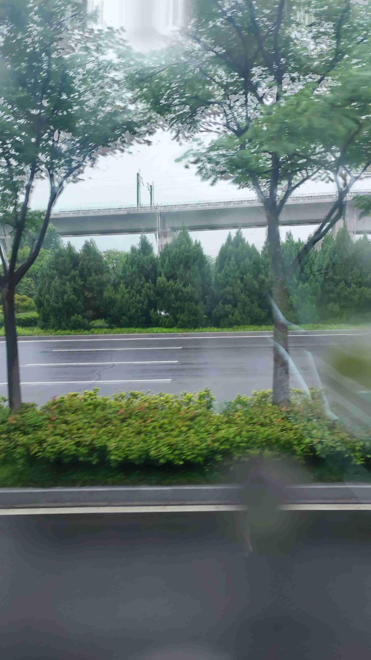 我的今日状态：今天没有开车，选择乘坐公交上班，不用操心，省事实力，经济实惠，不怕