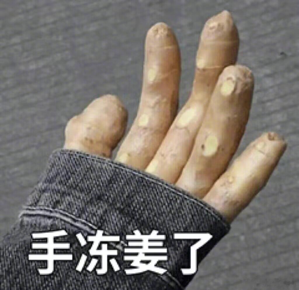 又到了手脚冰凉的季节，风里已经有了冬天的味道。每到这个时候，就格外渴望温暖，一杯