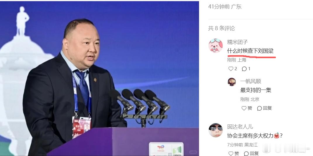 中国羽毛球协会主席张军“失联”... 估计乒乓球的球迷们也加入讨论了评论都是建议