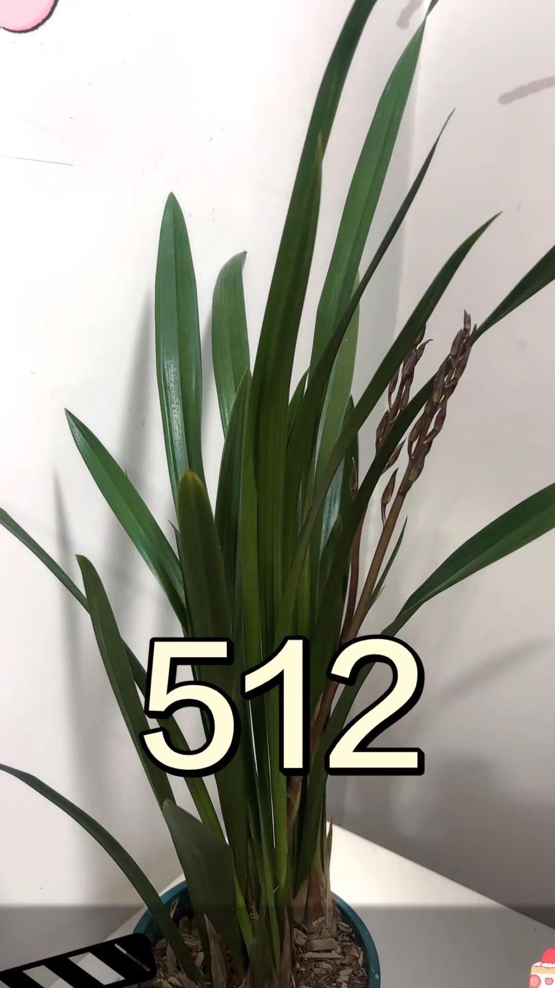 5.12”汶川地震已过去十八周年，让我们一起深切缅怀地震遇难同胞！愿山河无恙，国