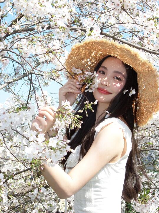 𝒄𝒄𝒅里的春.🌸