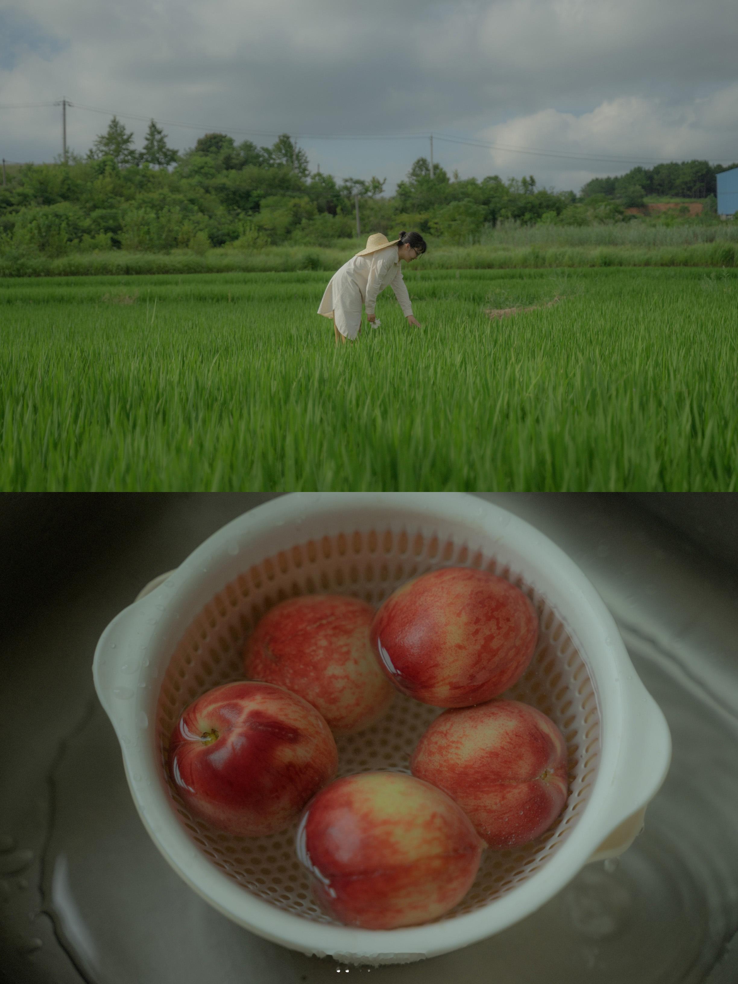 生活的真谛， 就是教会人在平凡和普通的事物上， 去用尽自己所有的深情。那种能感受