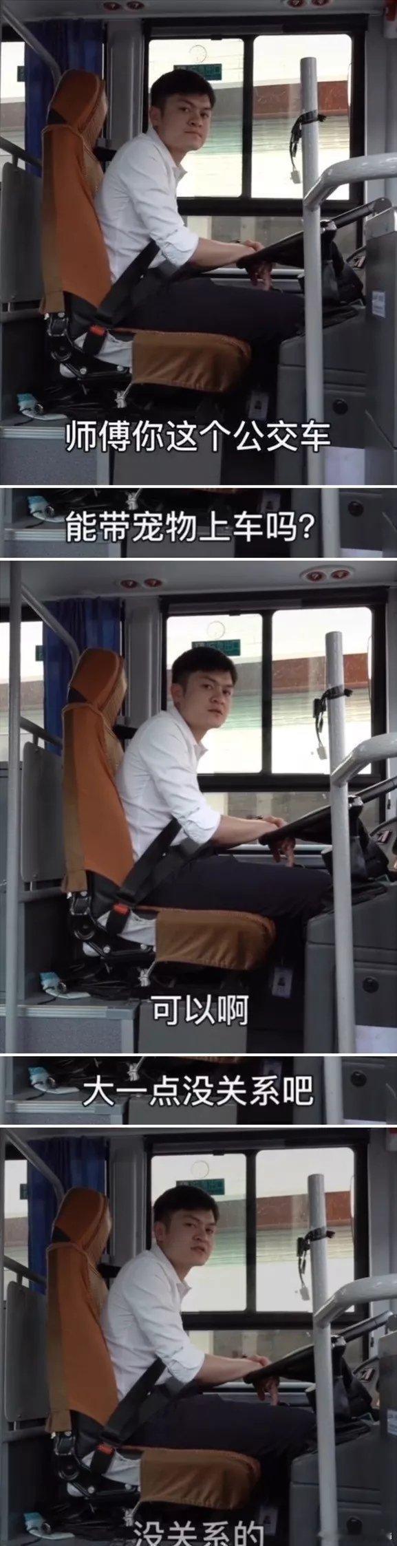 先生你能带宠物上车吗 ​​​