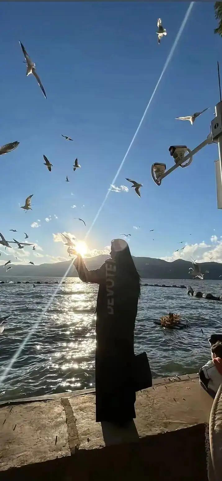 《看海》

一个人看海
将影子拉长
连接一座小岛
痴迷那些海鸟

两个人看海
将