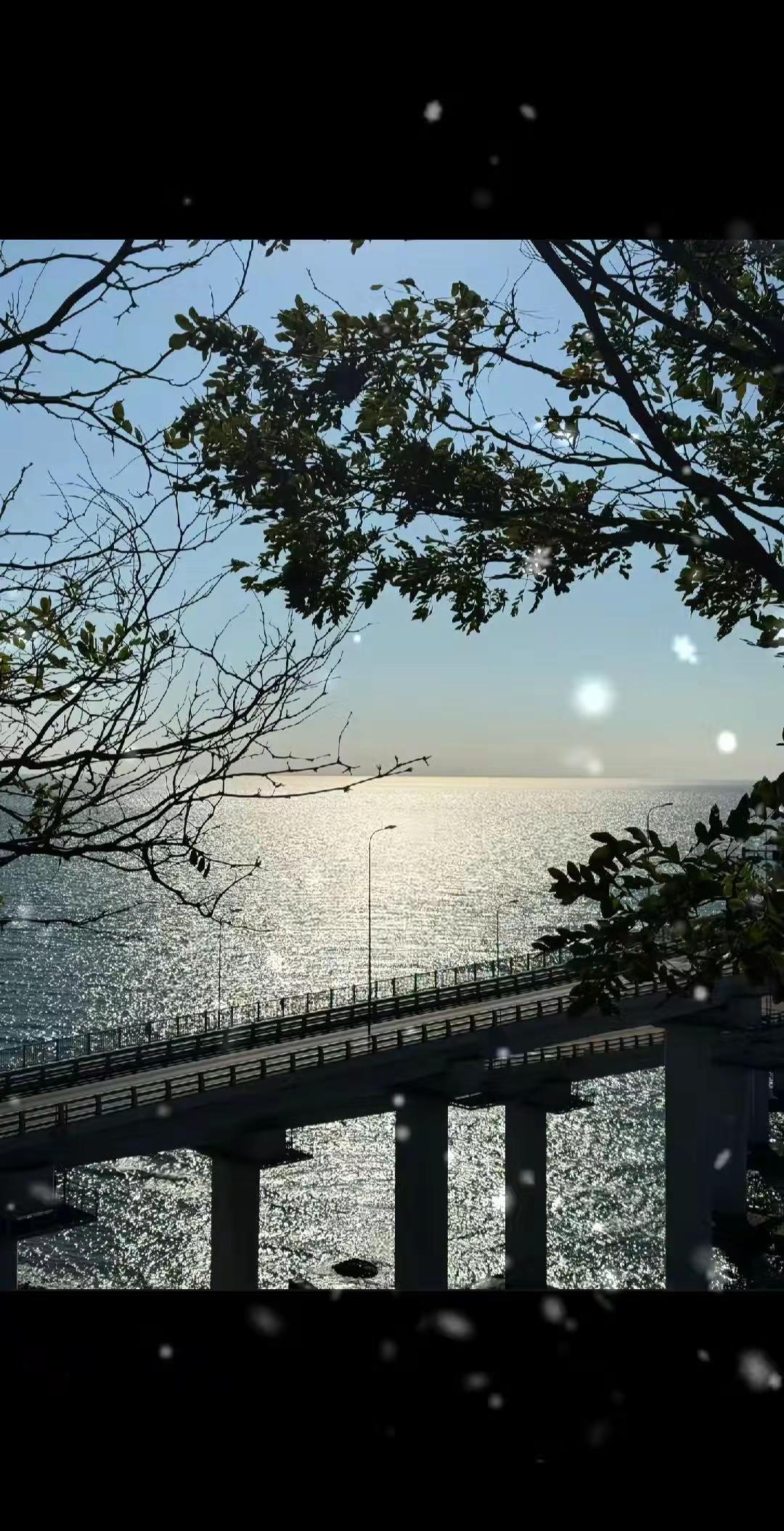 “当咖啡代替奶茶的时候或许青春已渐行渐远，人终究还是要靠自己，有人帮是幸运，没人