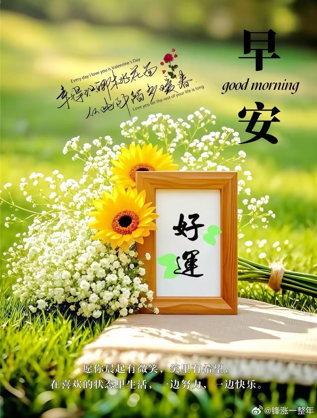 早上好[爱你][鲜花] ​​​