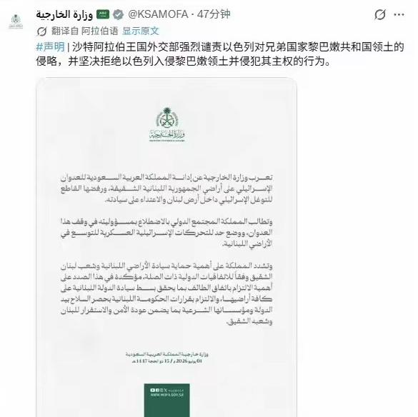 沙特终于要下场了？中东可能真要乱了

沙特外交部发了一份官方声明，在声明中沙特强