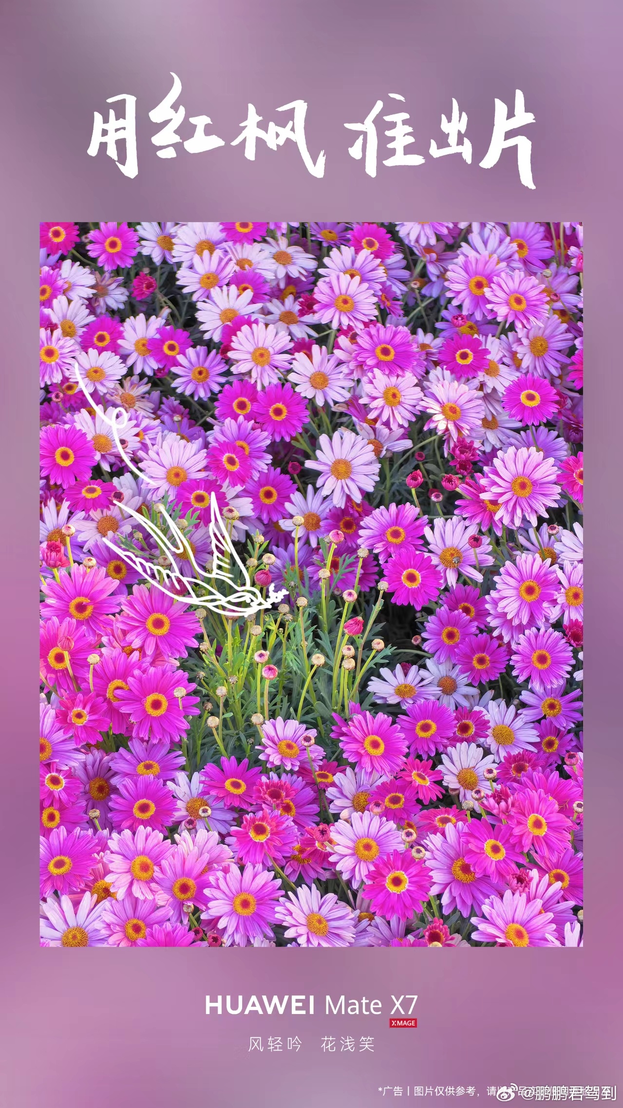 春天就该走出去，华为拍出了那份蓬勃的生命力！鸿蒙越用越香我的鸿蒙体验