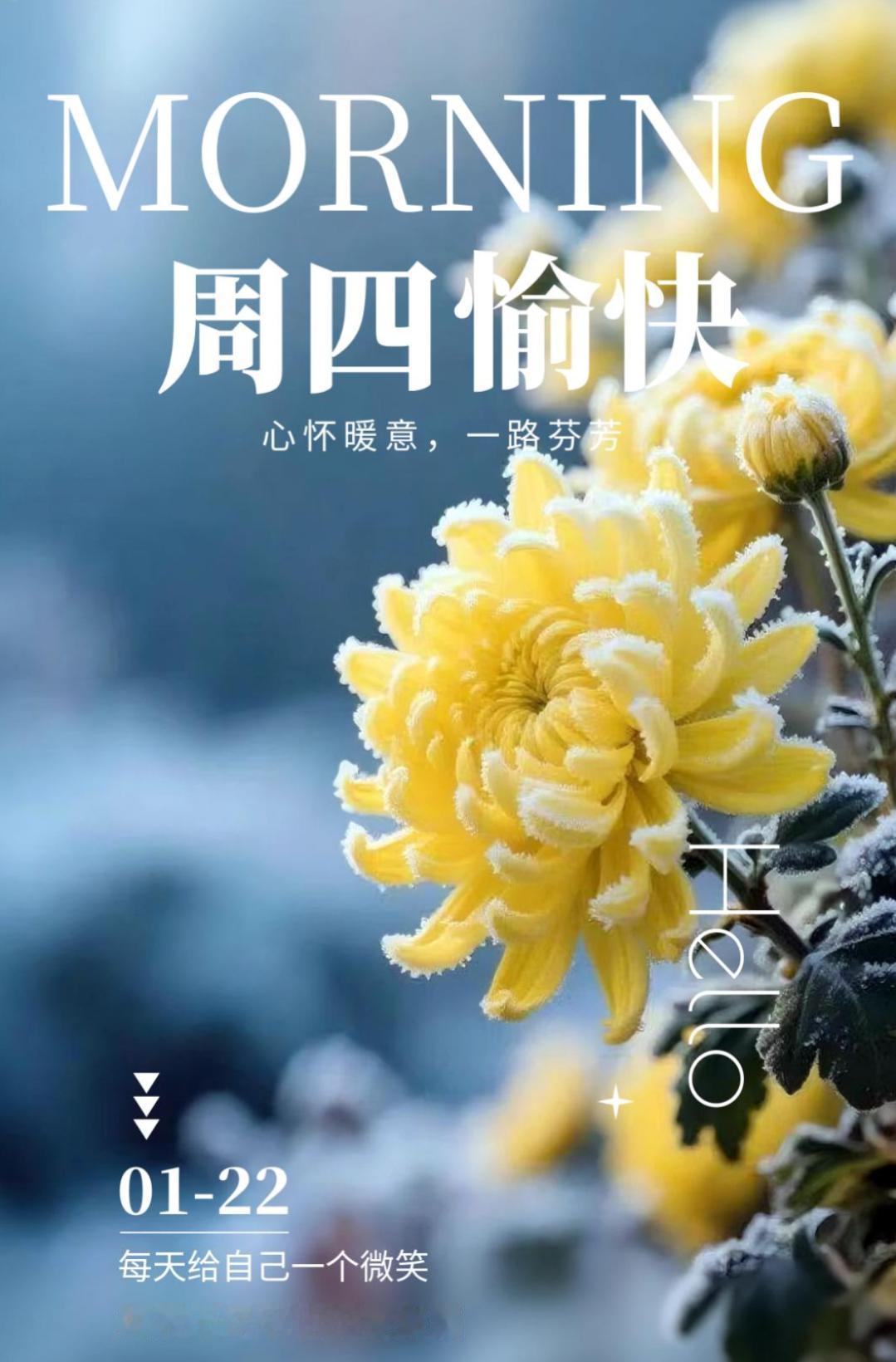 🌄周四早安！昨日烦恼随风而去，怀揣今日的期许，愿你每一步都踏向晴朗，前路有光，