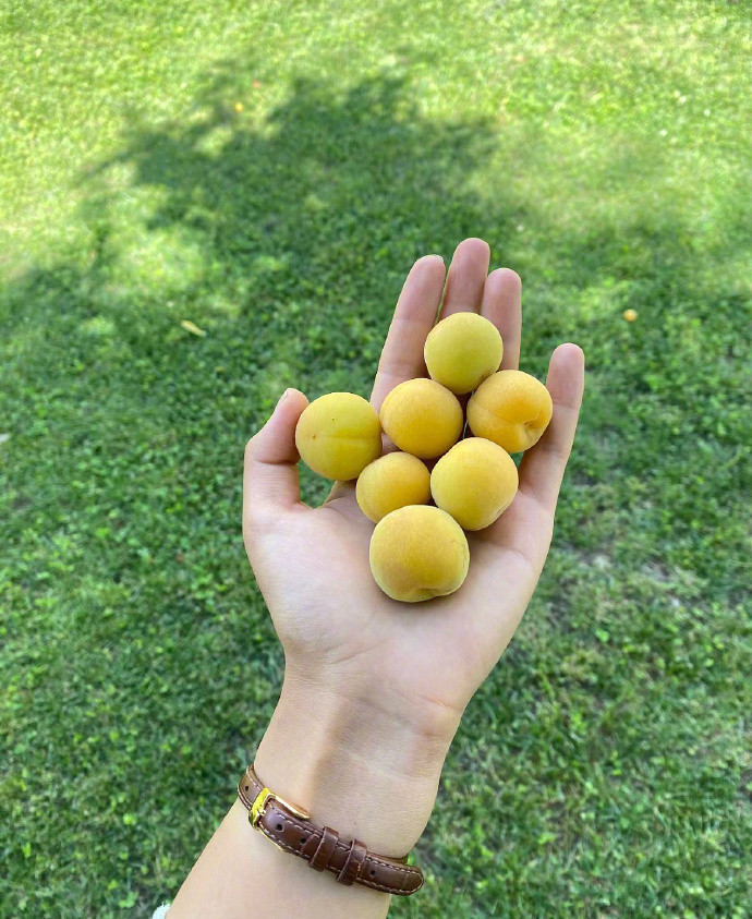 ᰔᩚᯓ🌷 𝚐𝚛𝚎𝚎𝚗“让你平静的日子 就是好日子 ” 