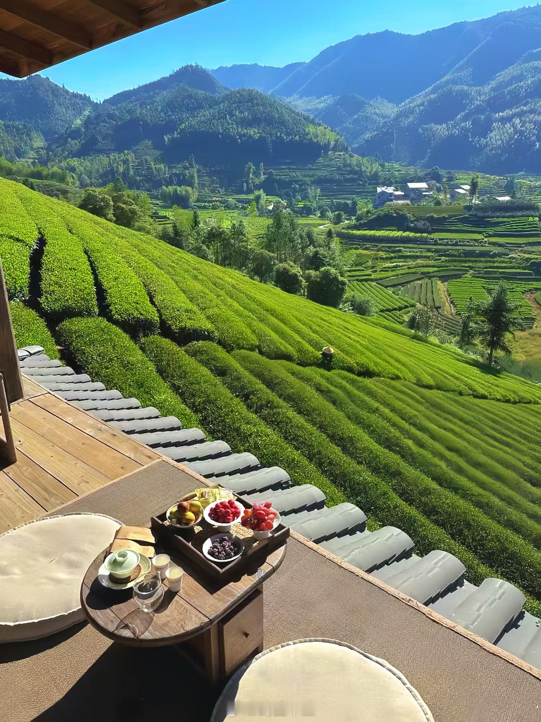 今天节气小雪糕，生病了工作是晒太阳，休息放空一天 。“The two most 