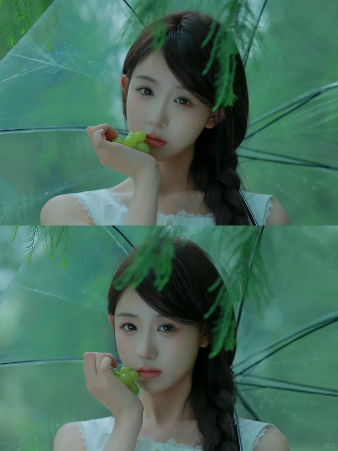 潮湿的绿意🍃