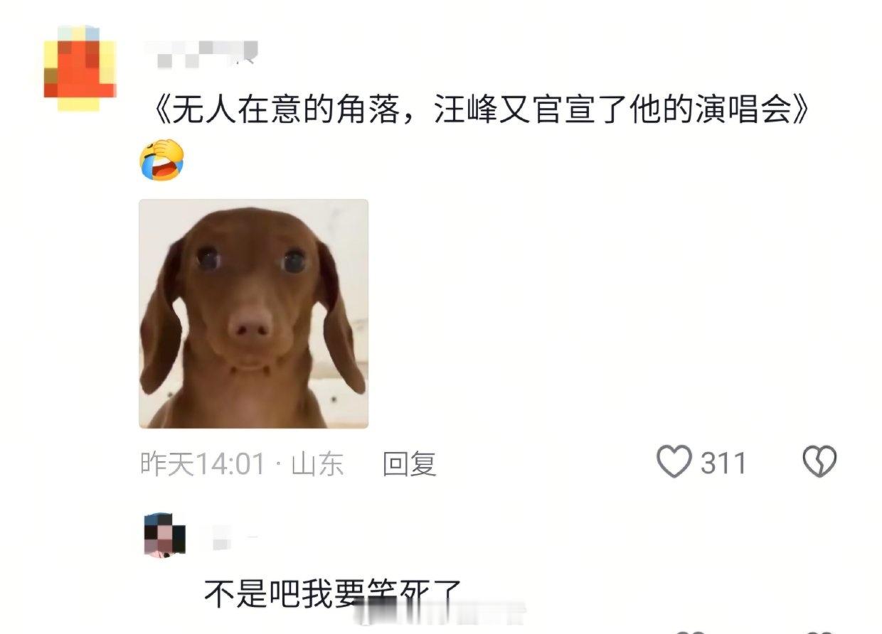 汪峰定律的含金量还在上升，网友吃瓜林俊杰恋情，无人在意的角落里面，汪峰官宣了演唱