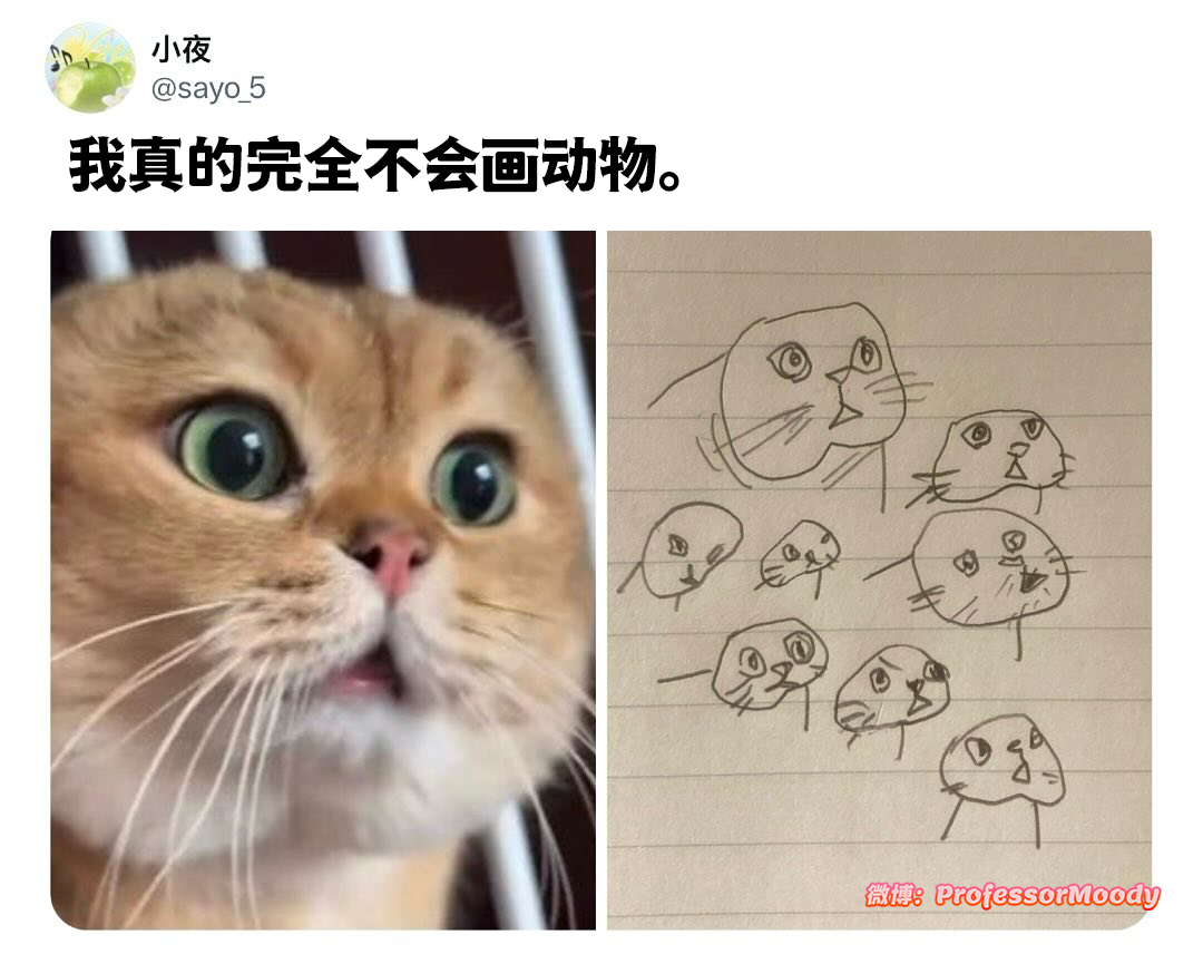 这不还挺像的#meme# / #笑料江湖争霸赛# ​​​