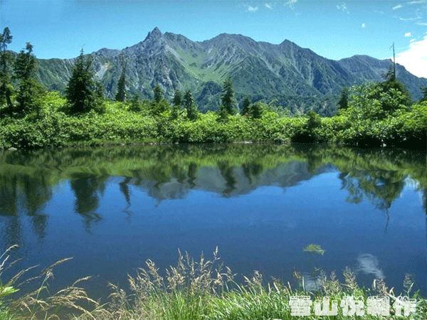 何其有幸遇见你  当你走近我心里那一刻起  就没人能替代你  你是我今生  最美