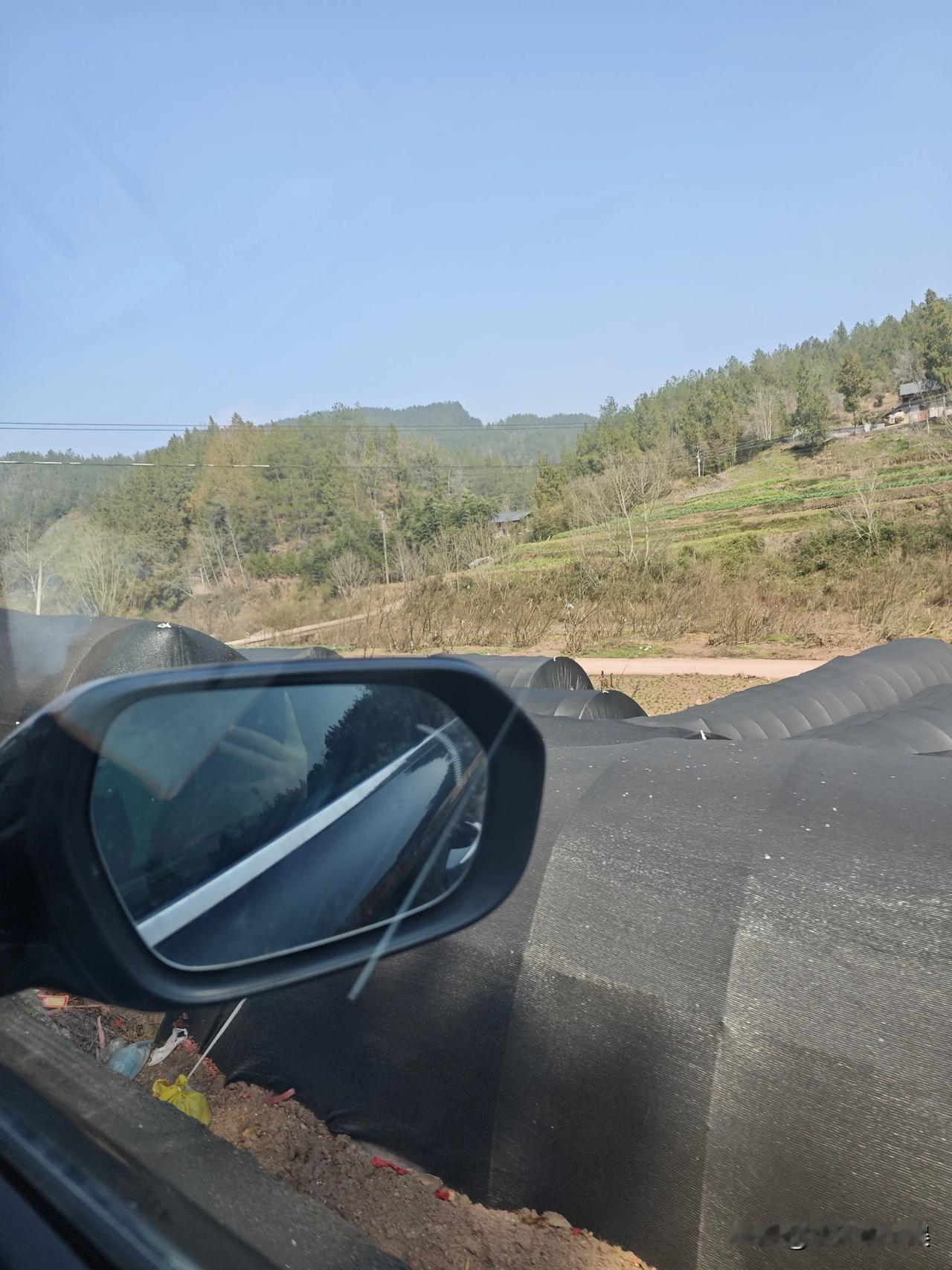 通江县陈河街头
一个很小很小的县城，但是却被称为“银耳之乡”
黑色的棚子里种植的